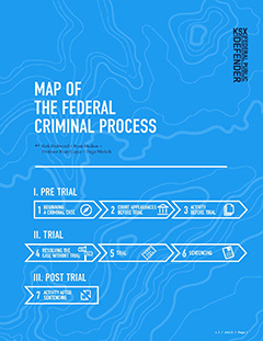 Map of the Federal Court Process (1 of 4) - 8.5x11